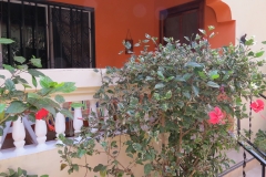 Veranda apartment 3