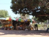 Fresh fruit and veg at local stalls