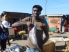 A fine catch at bakau fishing village